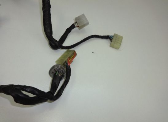 Wire Harness Yamaha TDM