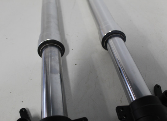 Voorpoten Benelli BN302