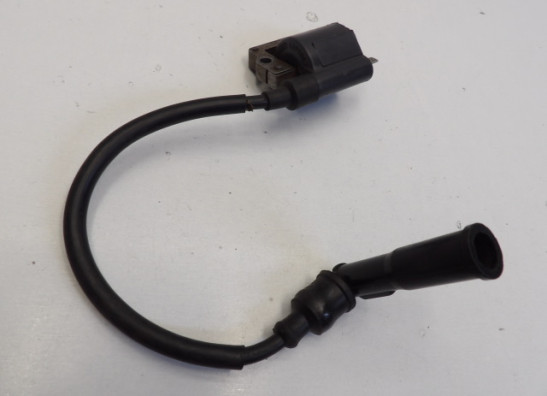 Ignition Coil BMW F 650