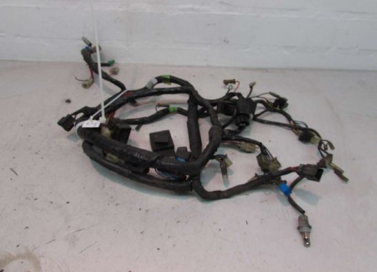 Kabelboom Yamaha XJ 900 S Diversion