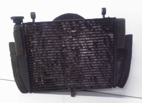 Radiator Yamaha YZF R6