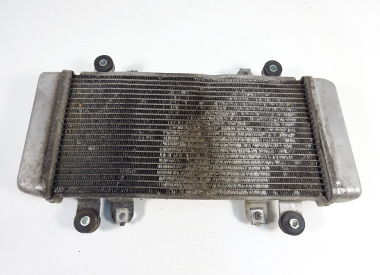 Radiateur Kawasaki Ninja 300