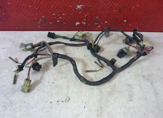 Kabelboom voor Yamaha FJR 1300