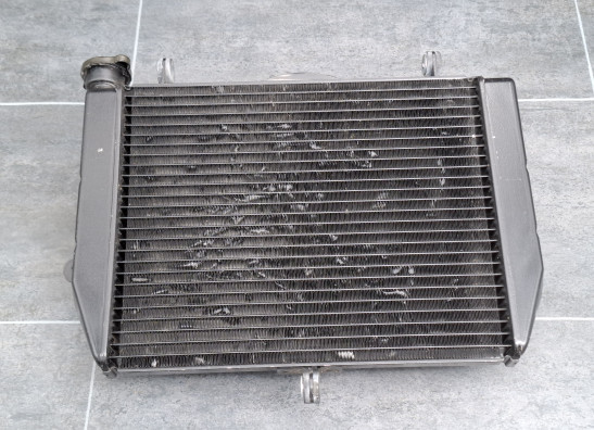 Radiator Yamaha YZF R6