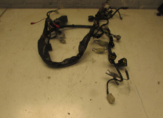 Wire Harness Yamaha FAZER 600