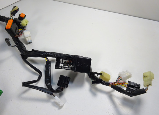 Kabelbaum Suzuki SFV 650 Gladius