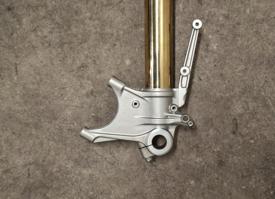 Standrohr Gabelholm links komplett Ducati Multistrada 1200