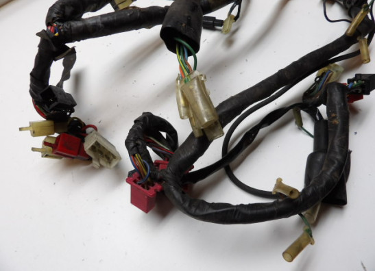 Kabelbaum Honda CBR 600 F