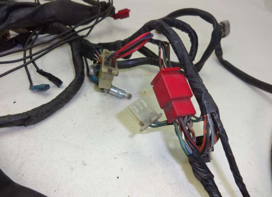 Kabelboom Honda PC 800