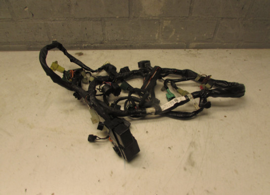 Wire harness front Suzuki SV 650