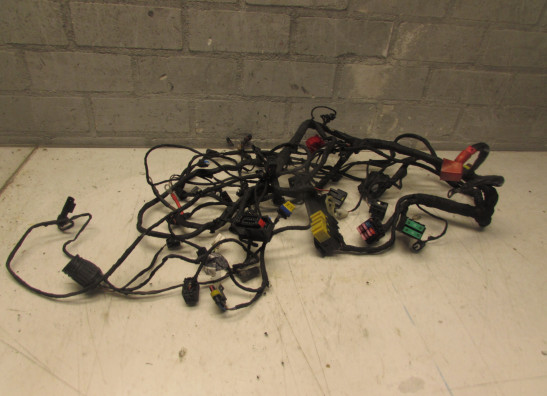 Kabelboom BMW C 650 GT