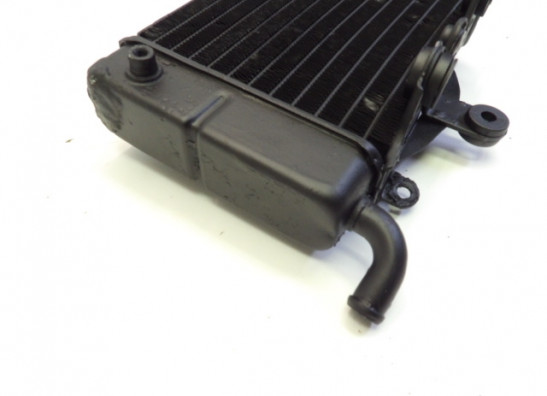 Kuhler Honda TRANSALP