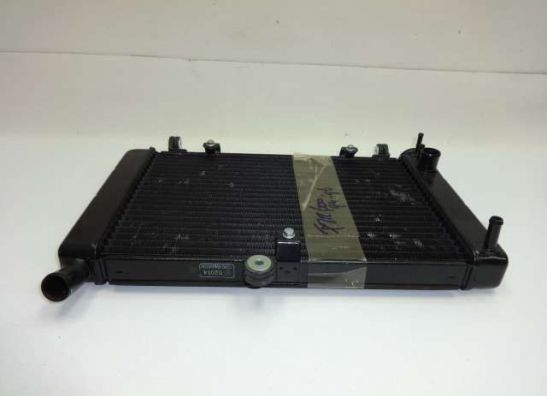 Radiator Yamaha YZF 600 Thundercat