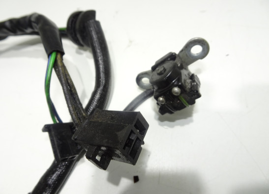 Dynamo Suzuki TL 1000