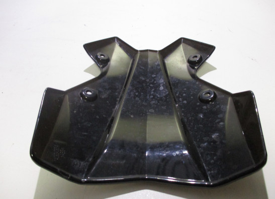 Windscherm Kawasaki Z 900