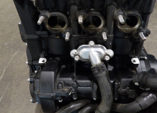 Motorblok Triumph Tiger 900 Rally Pro