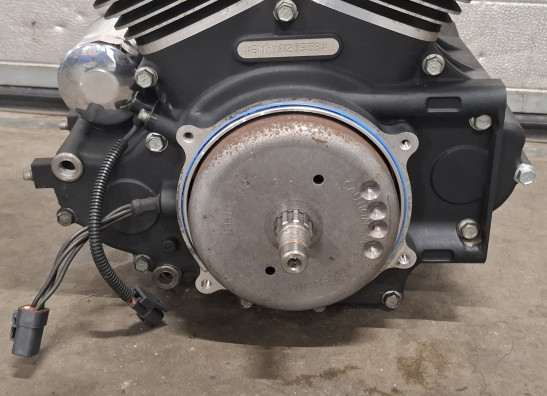 Motorblok Harley Davidson FLSTF Fat Boy Lo