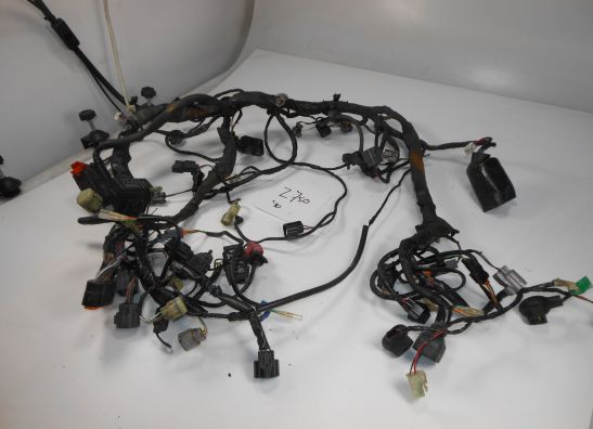 Kabelboom Kawasaki Z 750