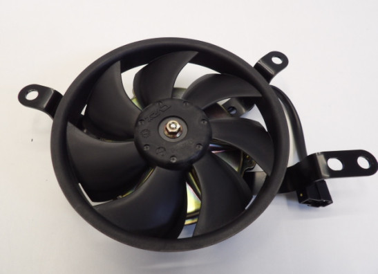 Fan Yamaha YZF R1