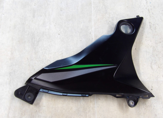 Linker zijkuip klein Kawasaki Z 800