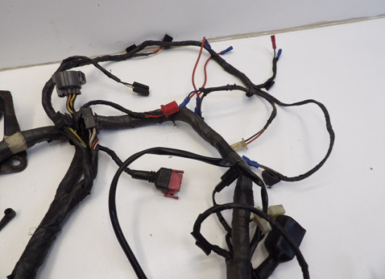 Wire Harness Kawasaki ZZR 1100
