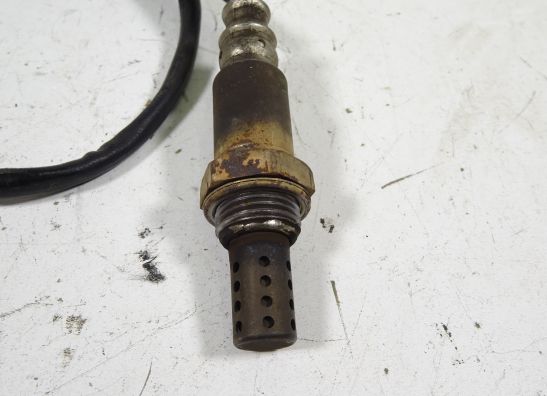 Lambdasonde Yamaha TDM