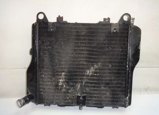 Radiator Kawasaki GPZ 1000