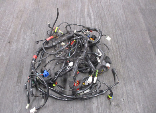 Kabelboom Moto Guzzi Griso 2007-2013