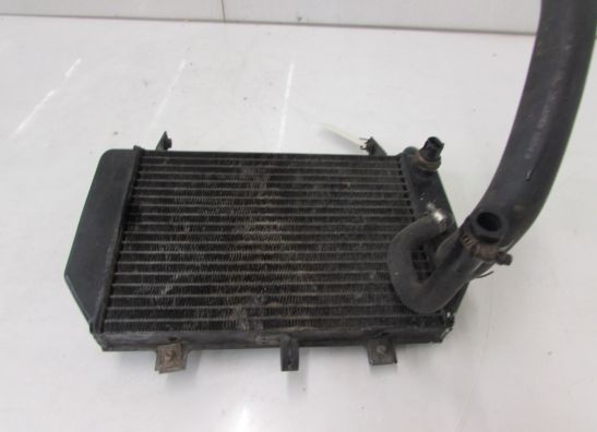 Radiator Suzuki TL 1000