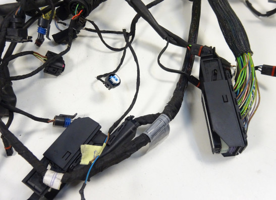 Kabelboom BMW K 1200 R 