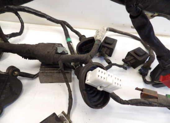 Kabelboom Honda Goldwing GL