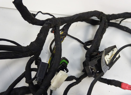 Kabelbaum BMW K 1300 GT