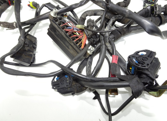 Kabelbaum Ducati monster 600