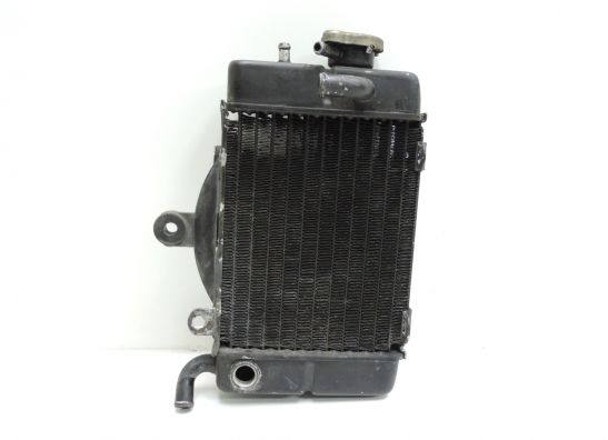 Kuhler Honda TRANSALP