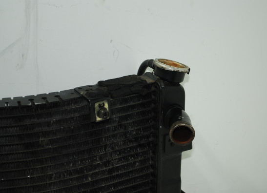 Radiator Yamaha GTS 1000