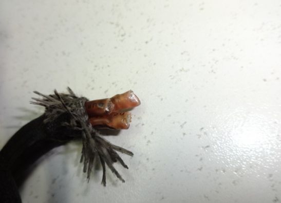 Dynamo Honda VF 1100 C Magna