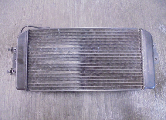 Kuhler Suzuki VL 800