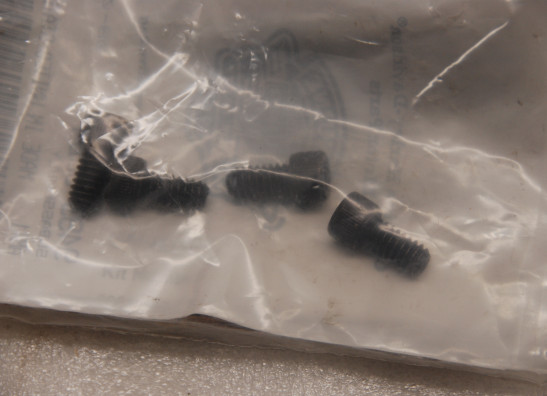 Uitlaat Harley Davidson Touring FL