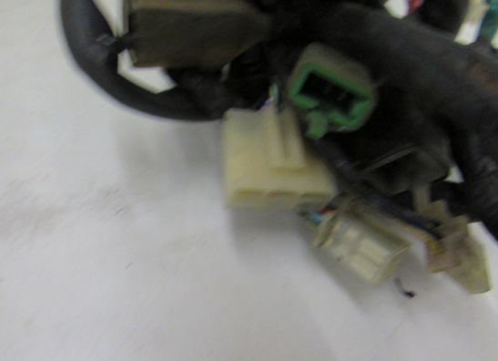 Kabelboom Honda PC 800