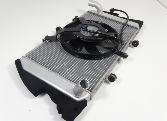 Radiator Kawasaki Z 1000 Sx
