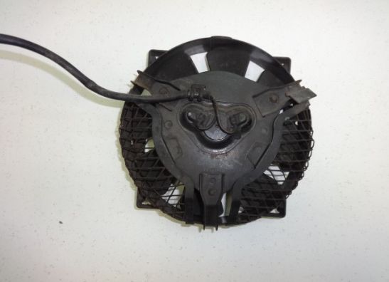 Fan Suzuki VX 800