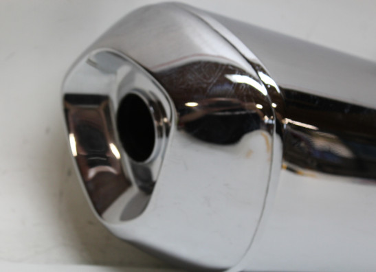 Auspuff BMW R 1200 R