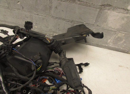 Kabelboom BMW K 1200 RS