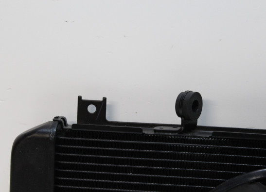 Radiateur Kawasaki Z 900