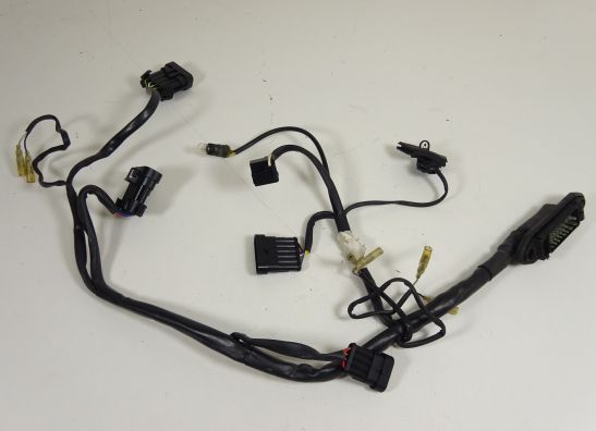 Kabelboom voor Ducati 750 SS Supersport 2000-2004