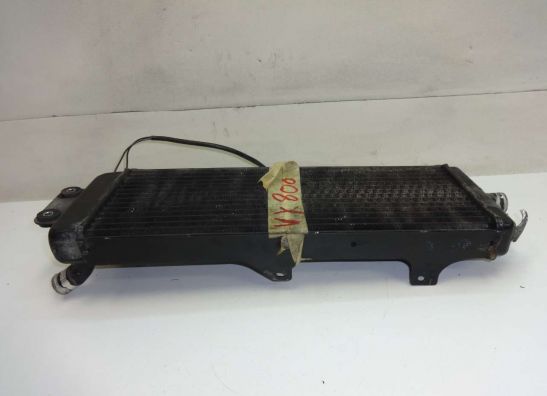 Kuhler Suzuki VX 800