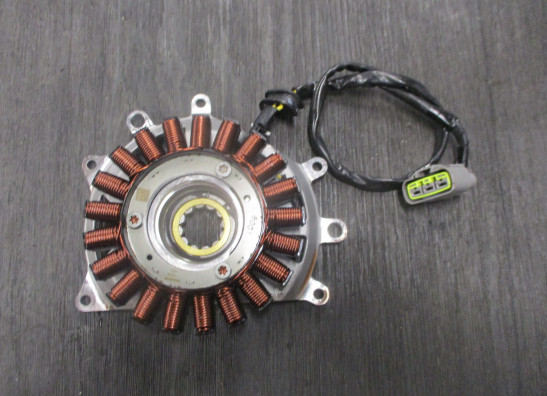 Dynamo BMW R 1250 R