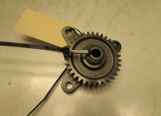 Engine parts Aprilia Tuono 1000