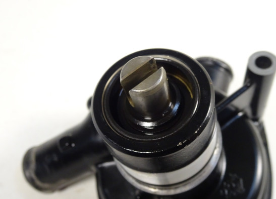 Water pump Triumph Tiger 1050