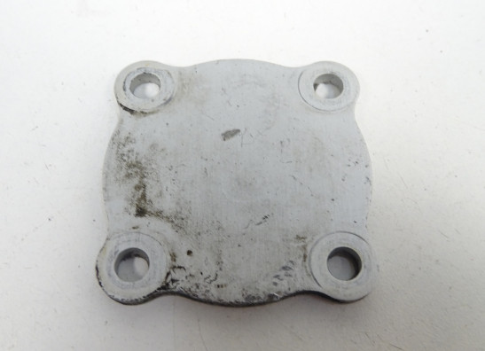 Carterpan Ducati 1098  1198